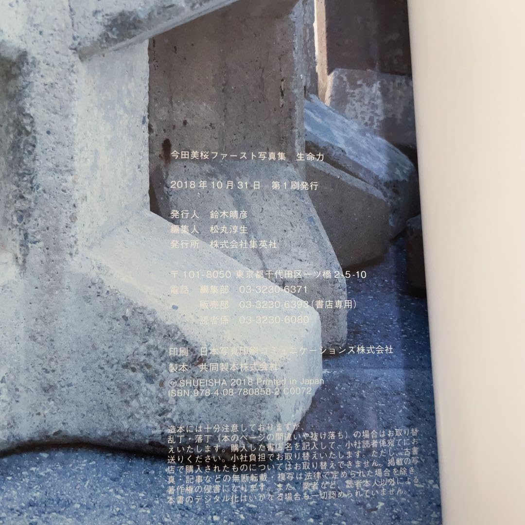 九谷焼作家　宮本雅夫作　【黃地紅彩金魚文鉢】【美術品】【芸術作品】 九谷焼 飯田屋窯 宮本屋窯 赤絵 金彩 鳳凰 水注 瓶仙